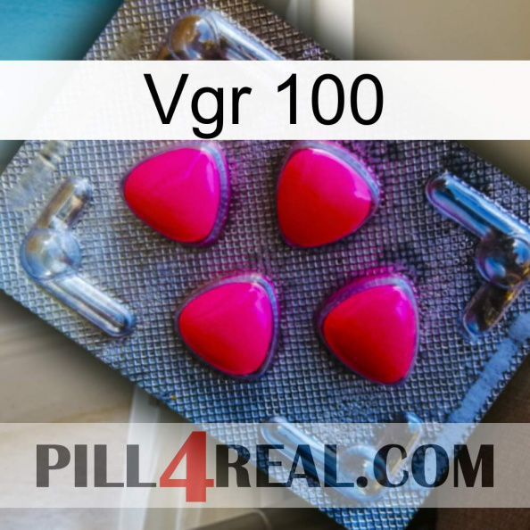 Vgr 100 13.jpg